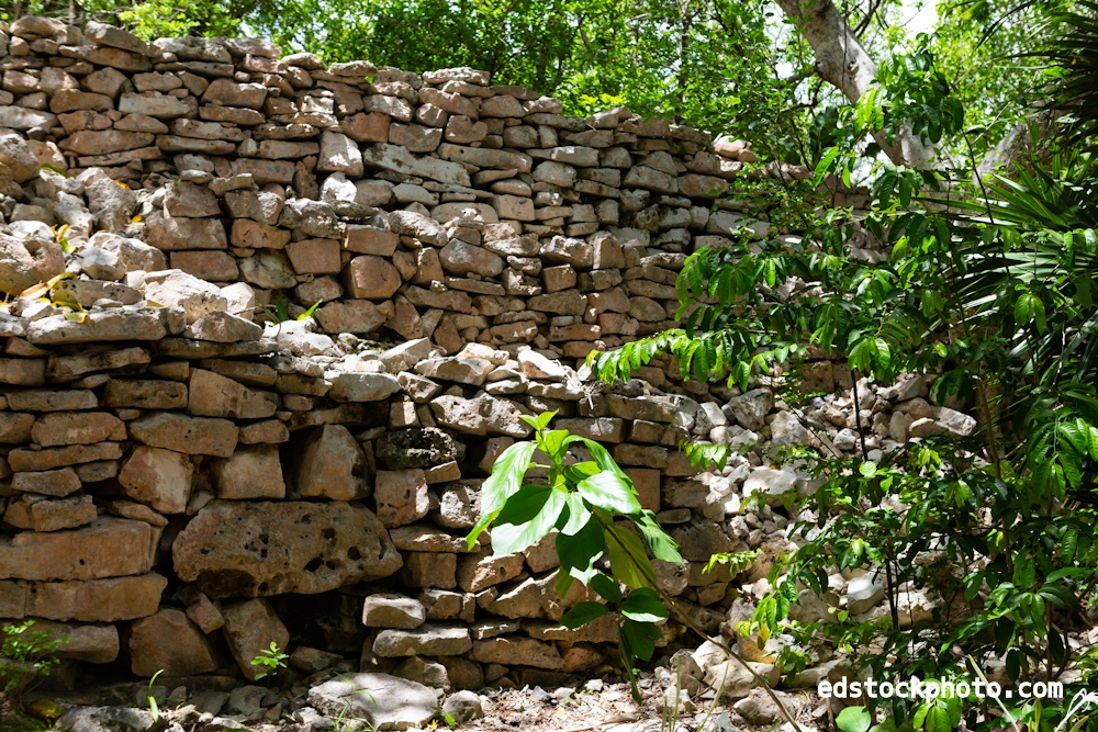 Wall in the Jungle (Tulum, Mexico)